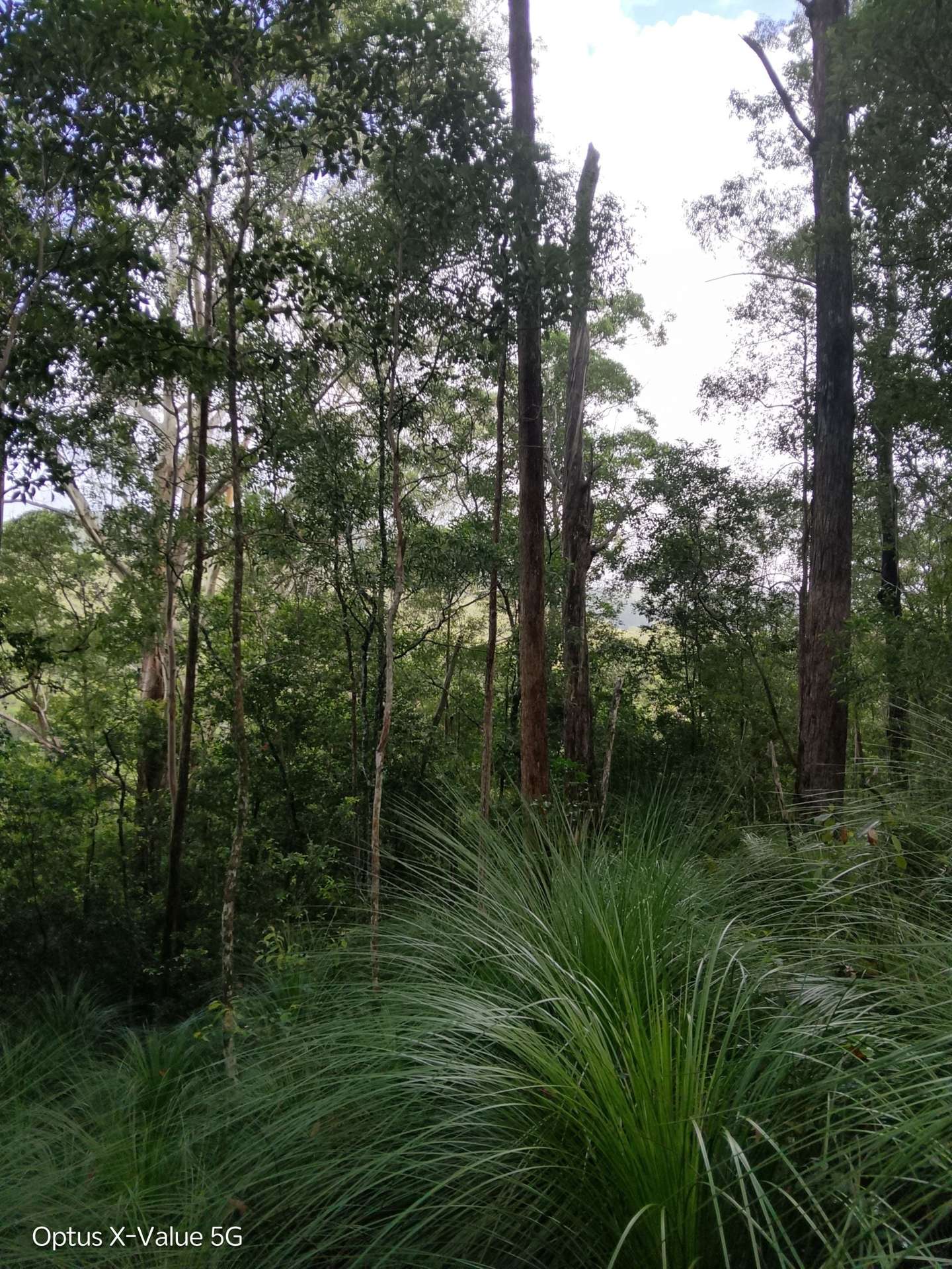 Lot 8/399 Browns Creek Road, Bridges For Sale by Farmbuy.com - image 8