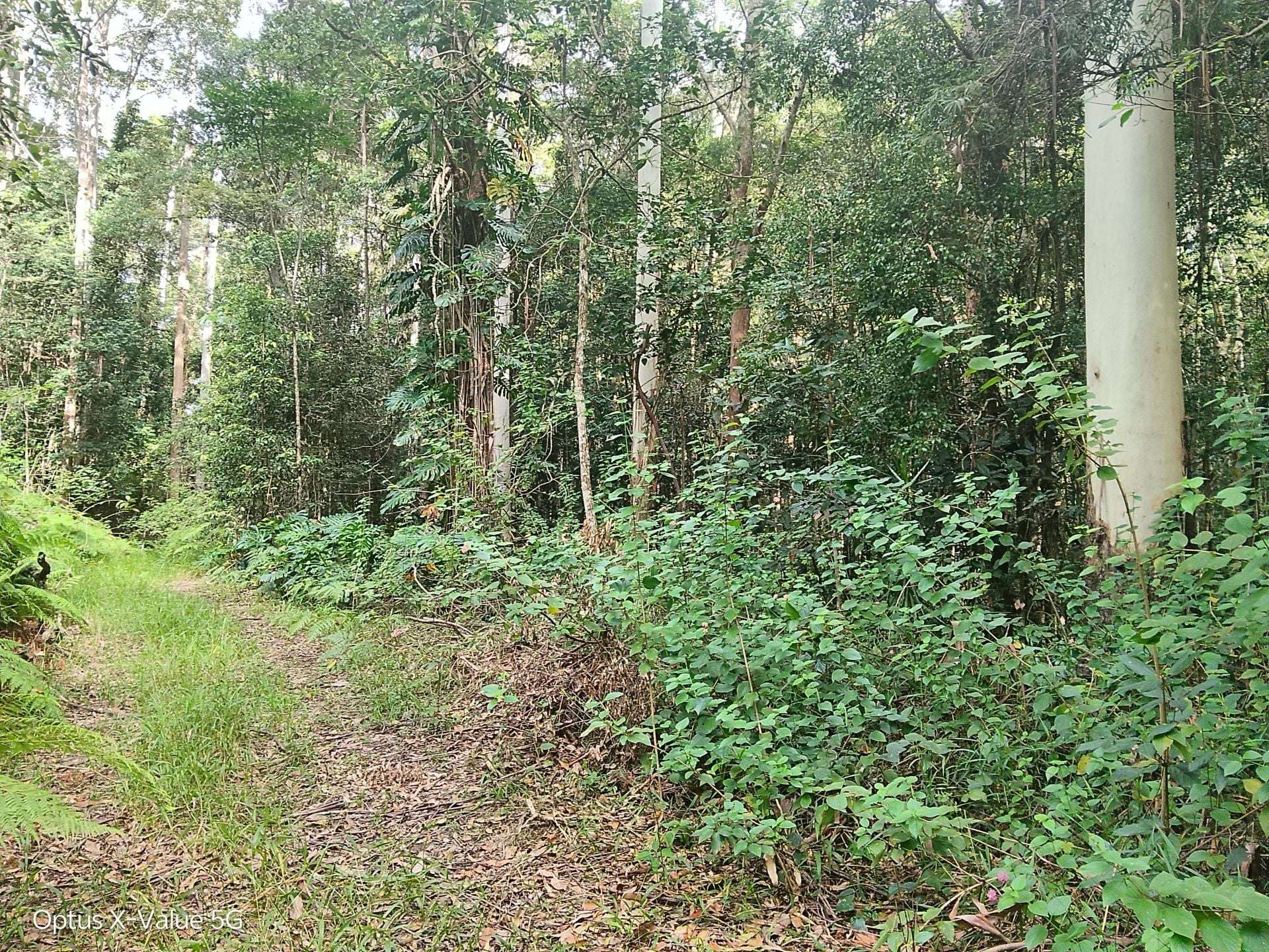 Lot 8/399 Browns Creek Road, Bridges For Sale by Farmbuy.com - image 1