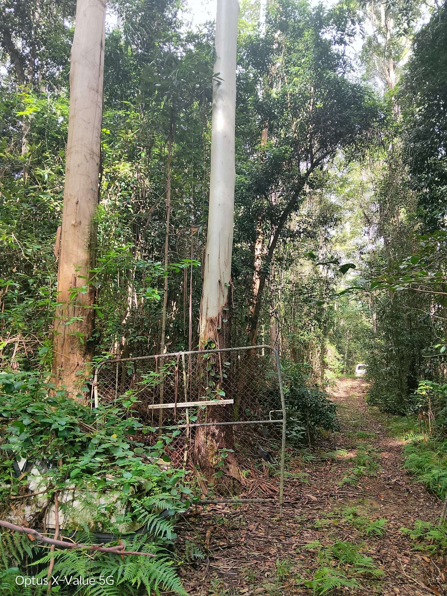 Lot 8/399 Browns Creek Road, Bridges For Sale by Farmbuy.com - image 3