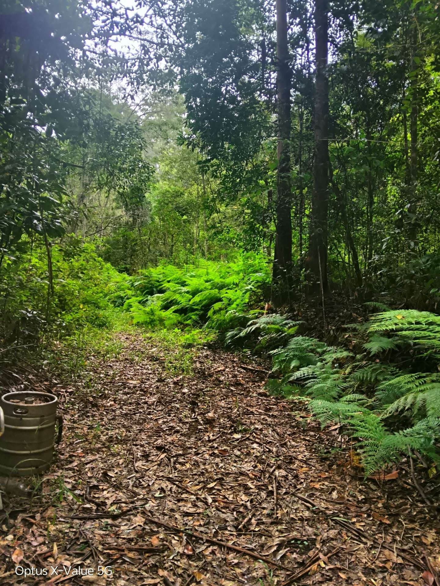 Lot 8/399 Browns Creek Road, Bridges For Sale by Farmbuy.com - image 7