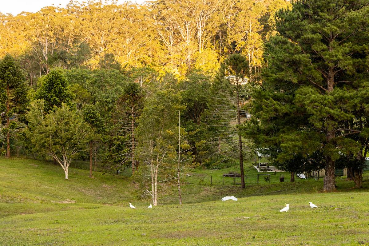 79 Isambert Road, Glenview For Sale by Farmbuy.com - image 28