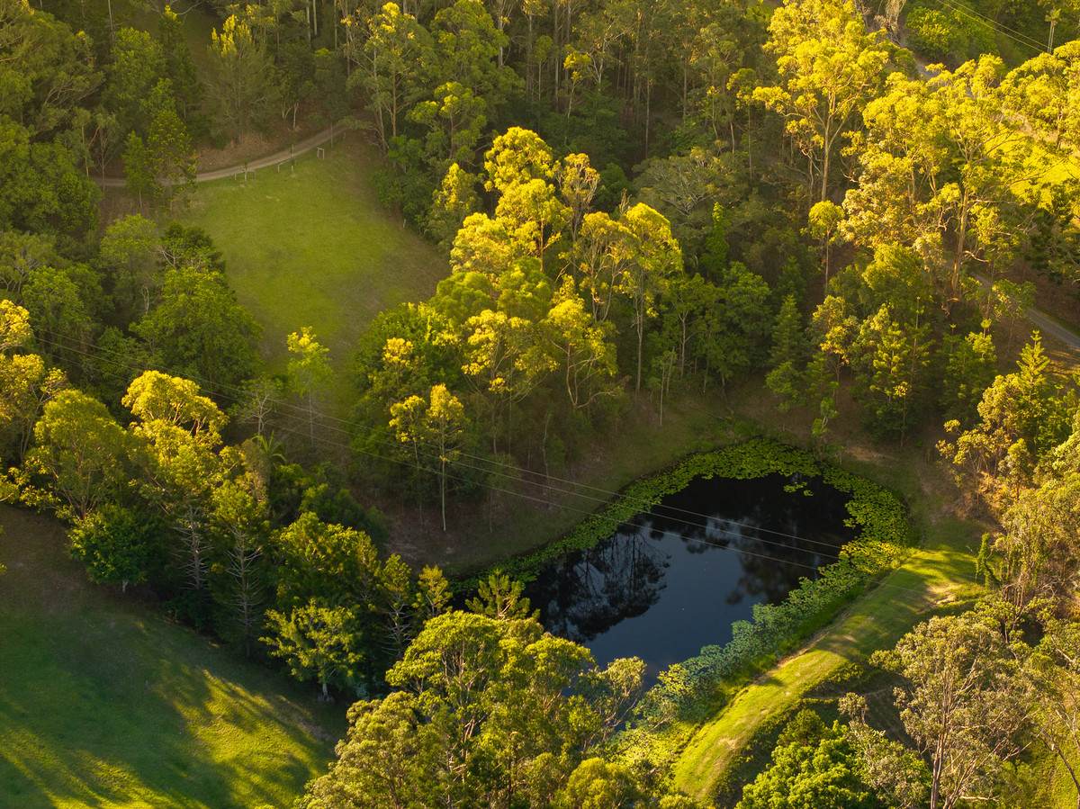 79 Isambert Road, Glenview For Sale by Farmbuy.com - image 34