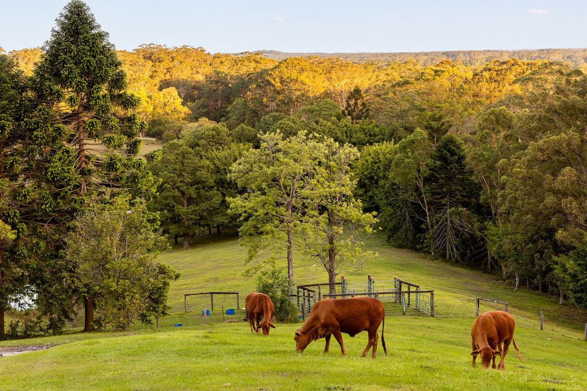 79 Isambert Road, Glenview For Sale by Farmbuy.com - image 3