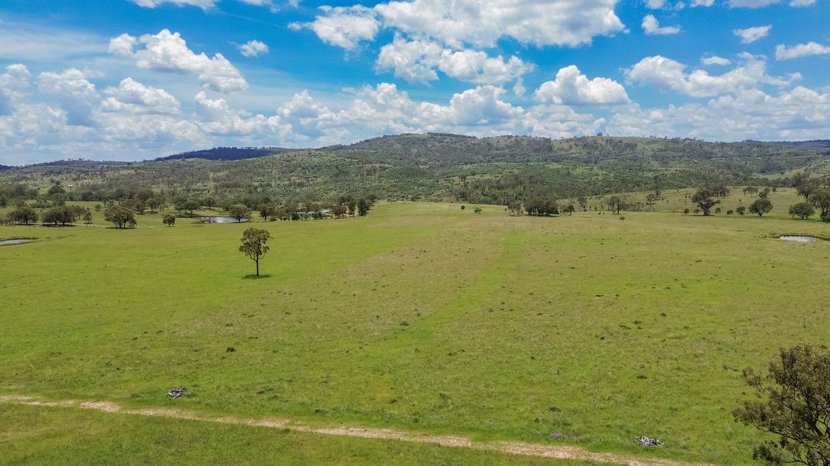 1325 Connolly Dam Road, Silverwood For Sale by Farmbuy.com - image 25