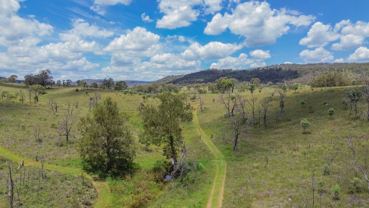 1325 Connolly Dam Road, Silverwood For Sale by Farmbuy.com - image 34