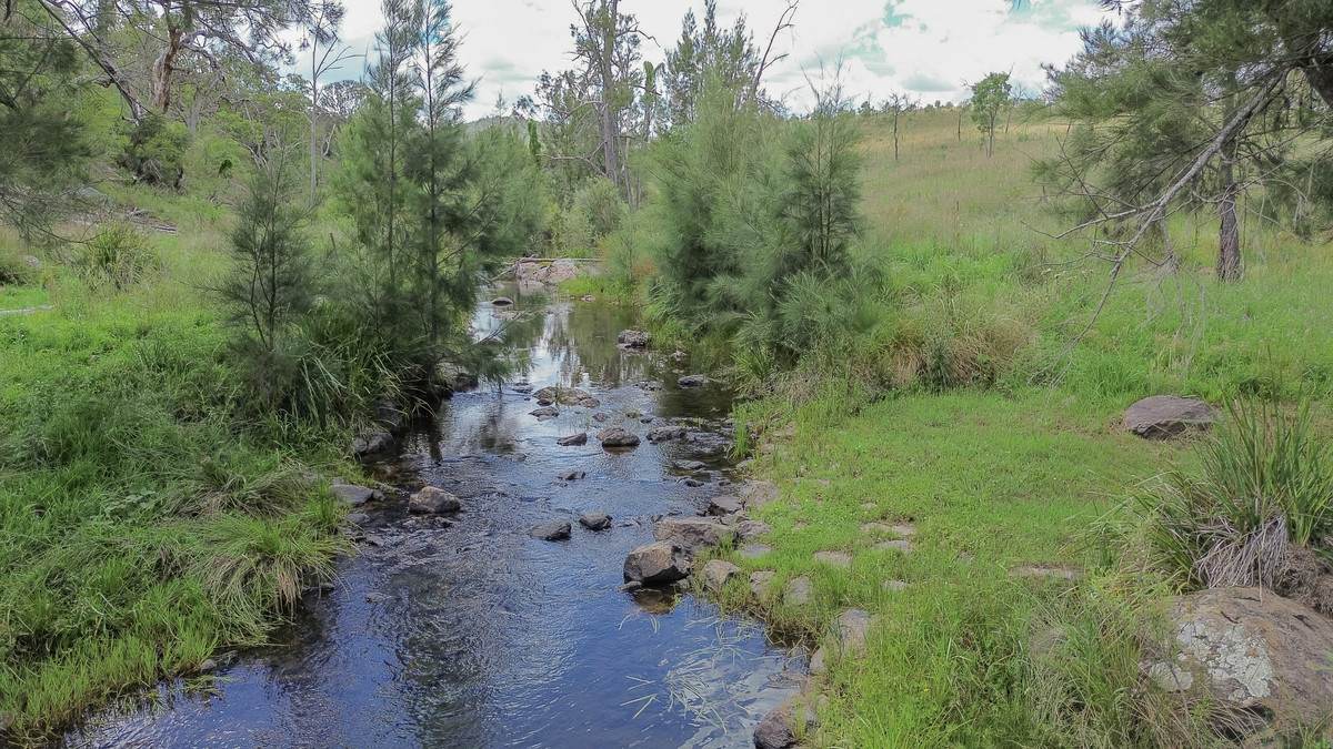 1325 Connolly Dam Road, Silverwood For Sale by Farmbuy.com - image 33