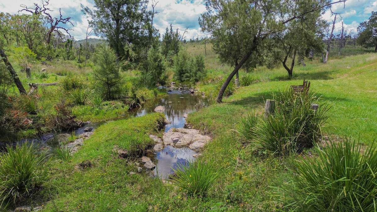 1325 Connolly Dam Road, Silverwood For Sale by Farmbuy.com - image 32