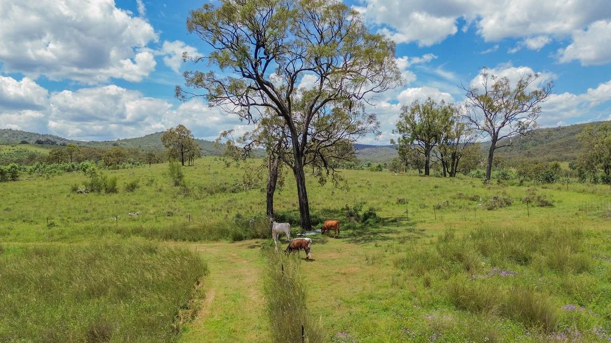 1325 Connolly Dam Road, Silverwood For Sale by Farmbuy.com - image 22