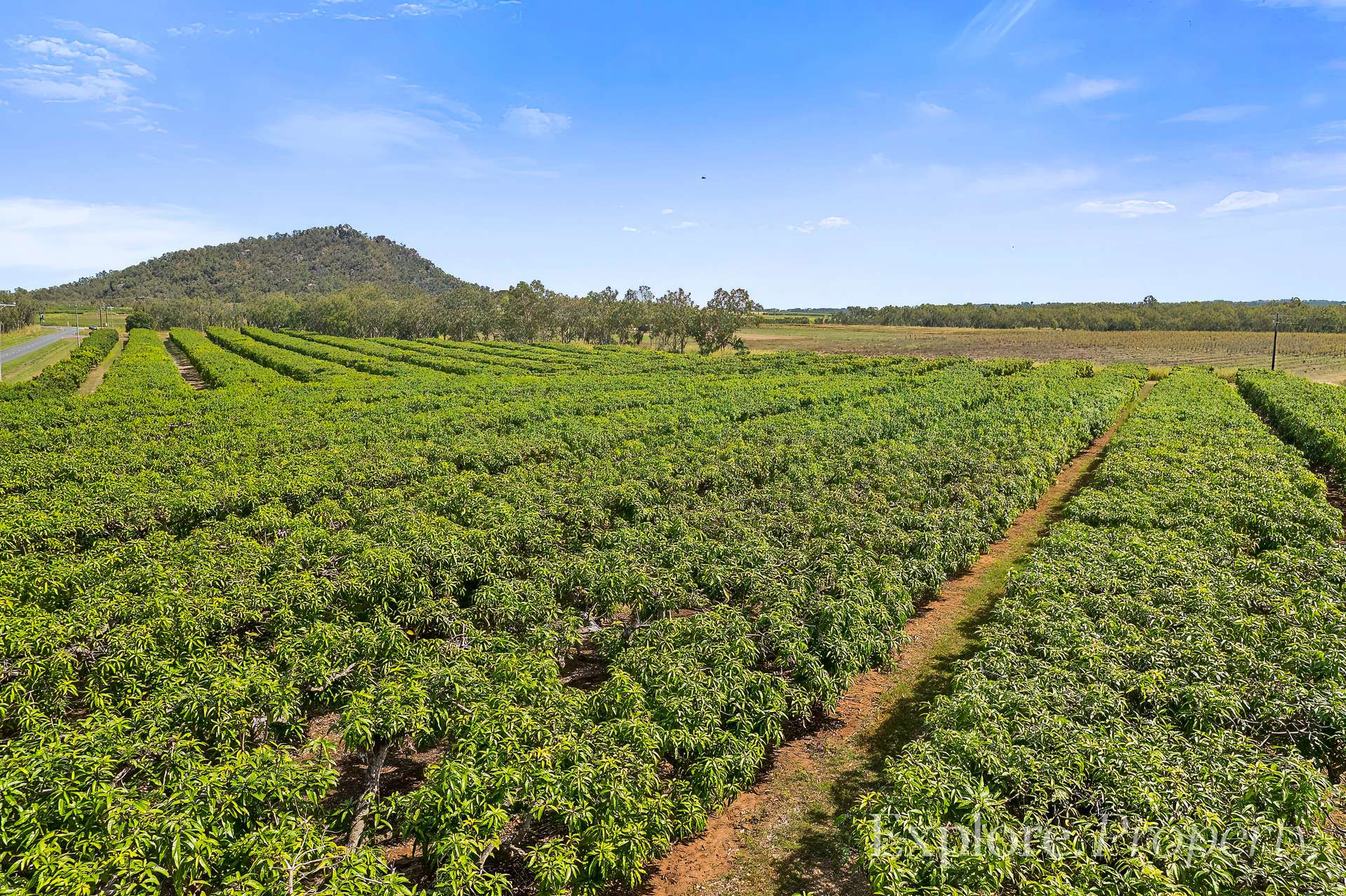 440 Chewko Road, Mareeba For Sale by Farmbuy.com - image 10