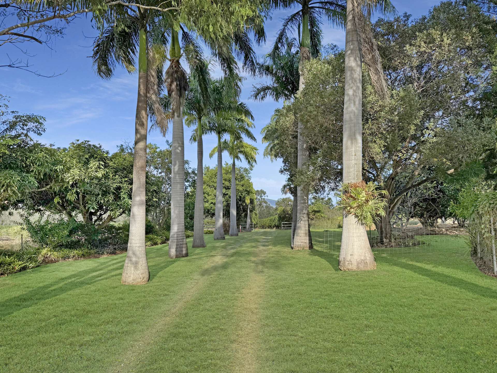 362 Springmount Road, Mutchilba For Sale by Farmbuy.com - image 32
