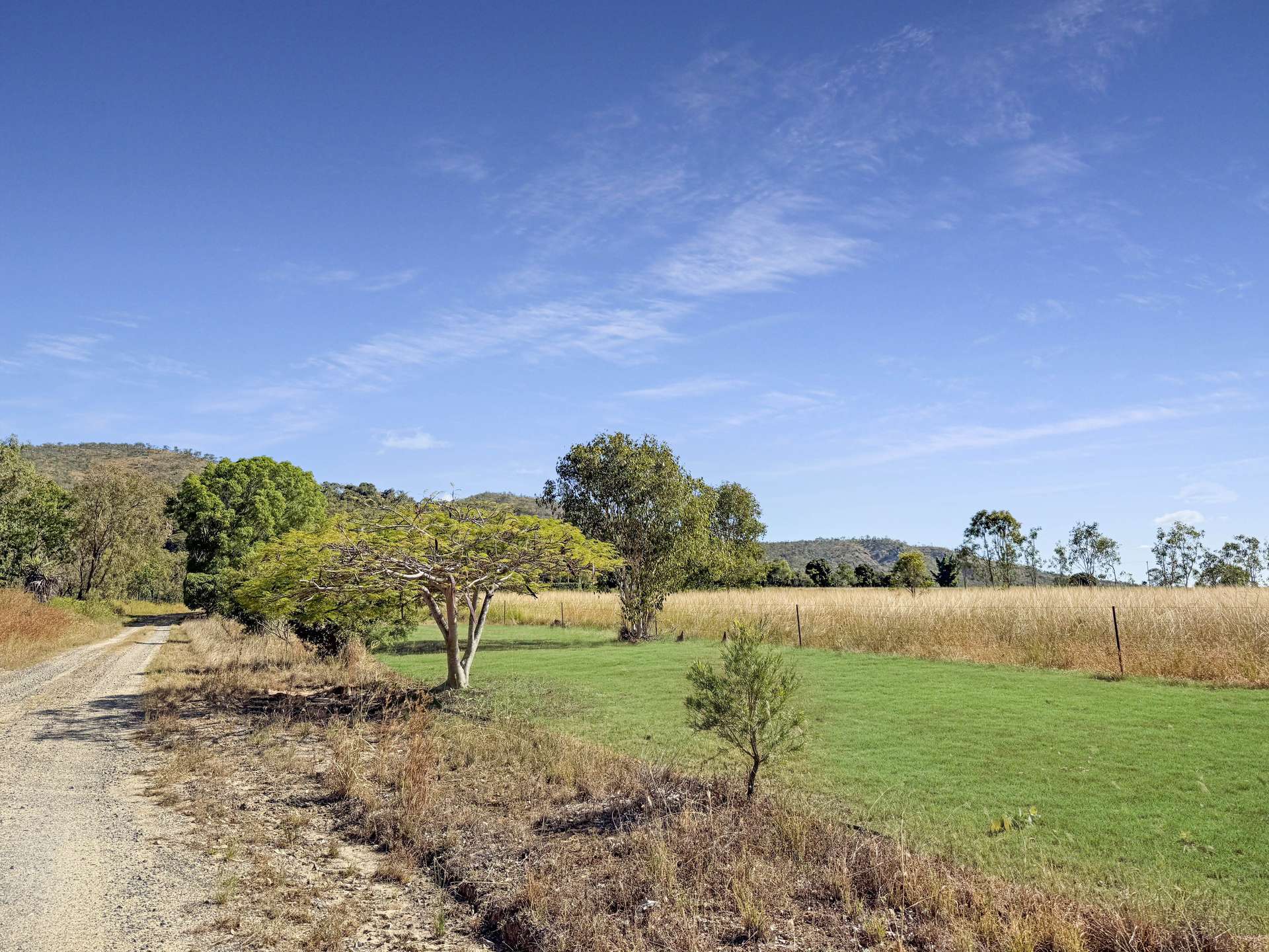 362 Springmount Road, Mutchilba For Sale by Farmbuy.com - image 5