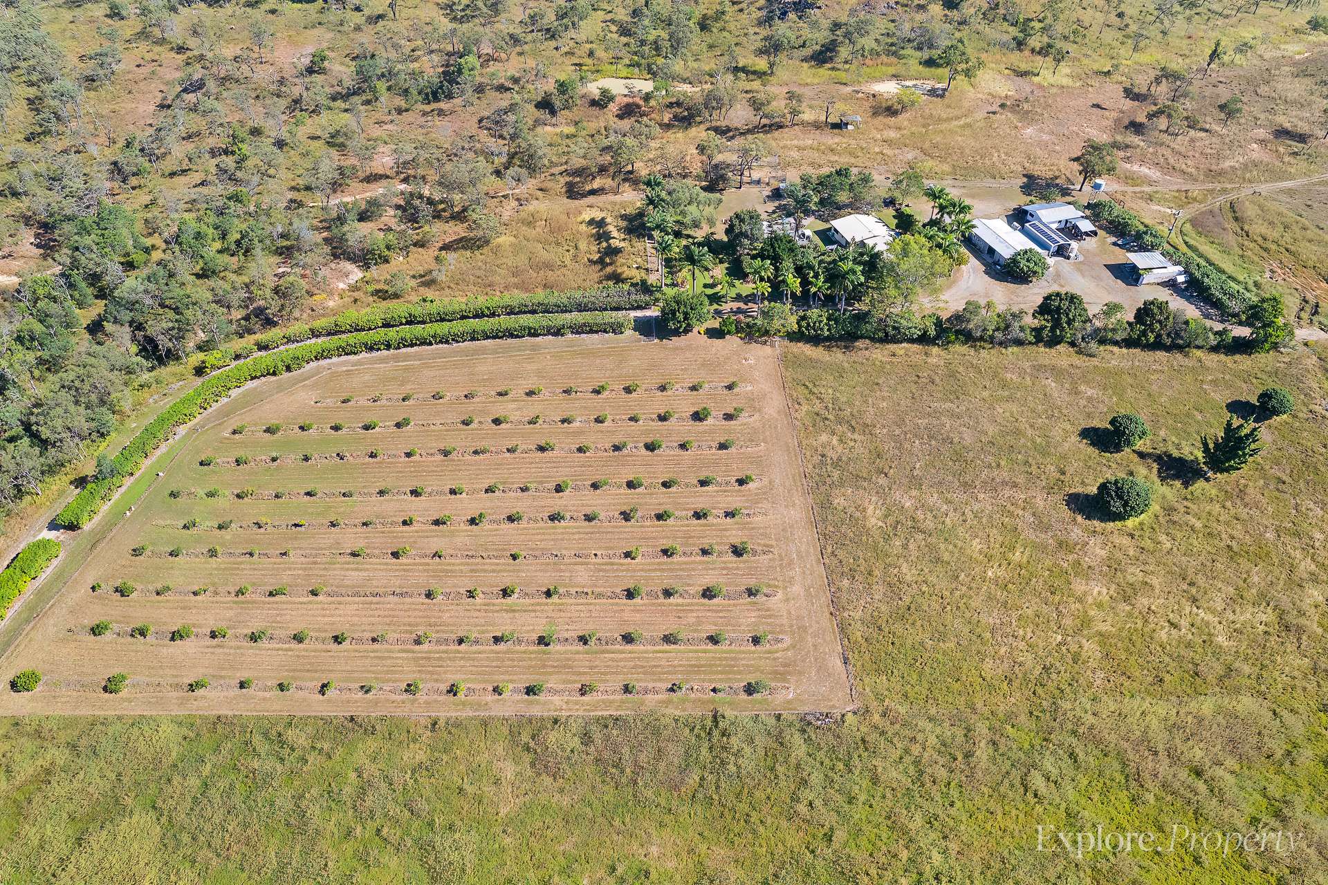 362 Springmount Road, Mutchilba For Sale by Farmbuy.com - image 2