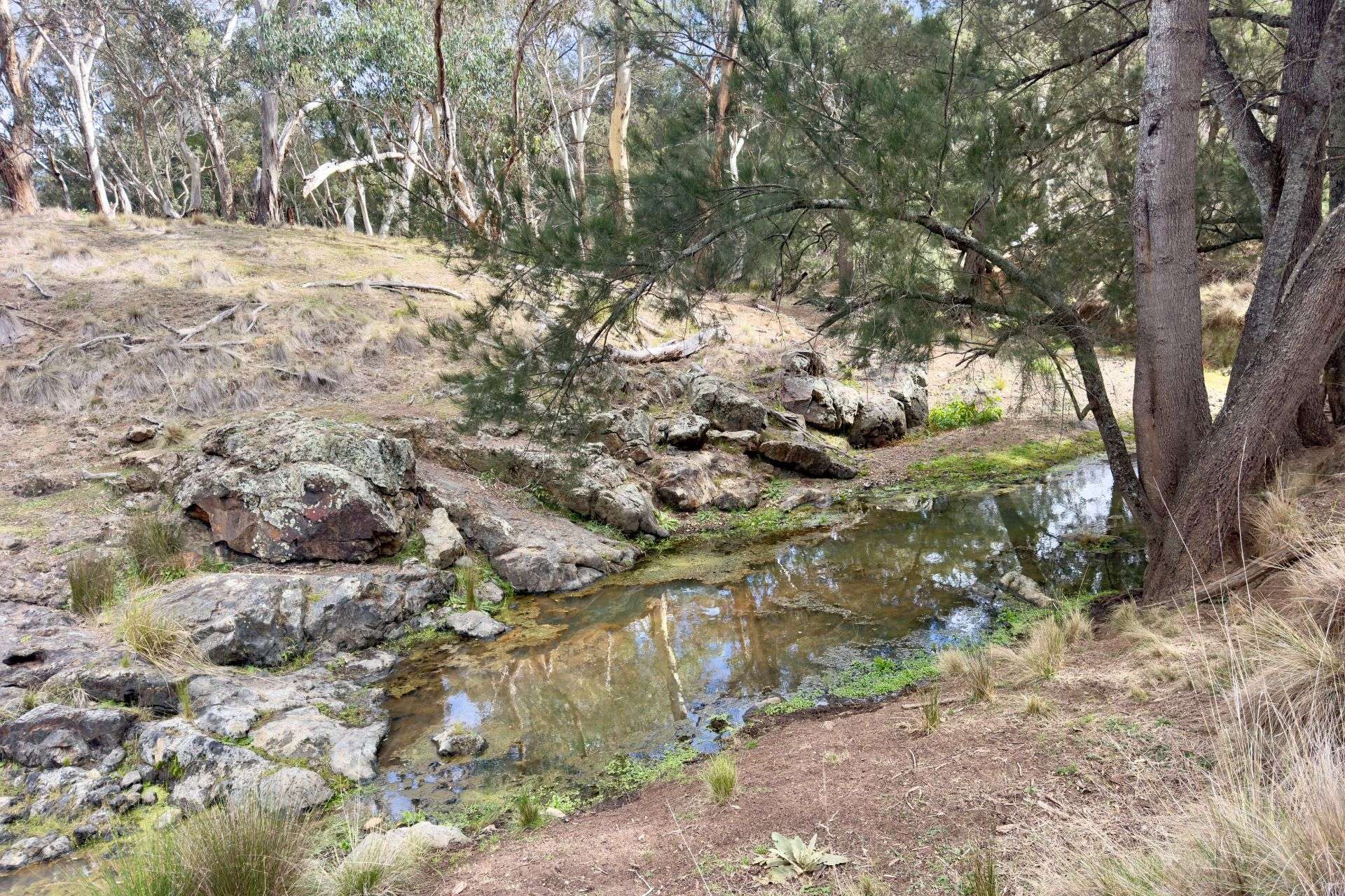 Lot 65, 4780 Ilford Sofala Road, Sofala, Bathurst For Sale by Farmbuy.com - image 5
