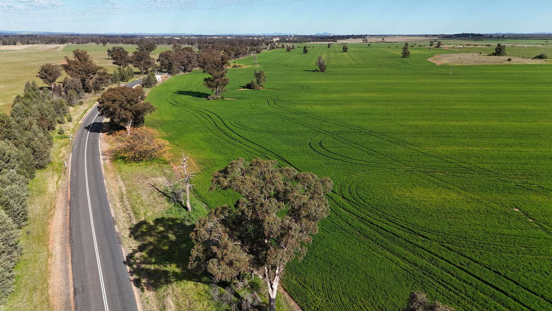 1 Dawes Road, Forbes Tender by Farmbuy.com - image 1
