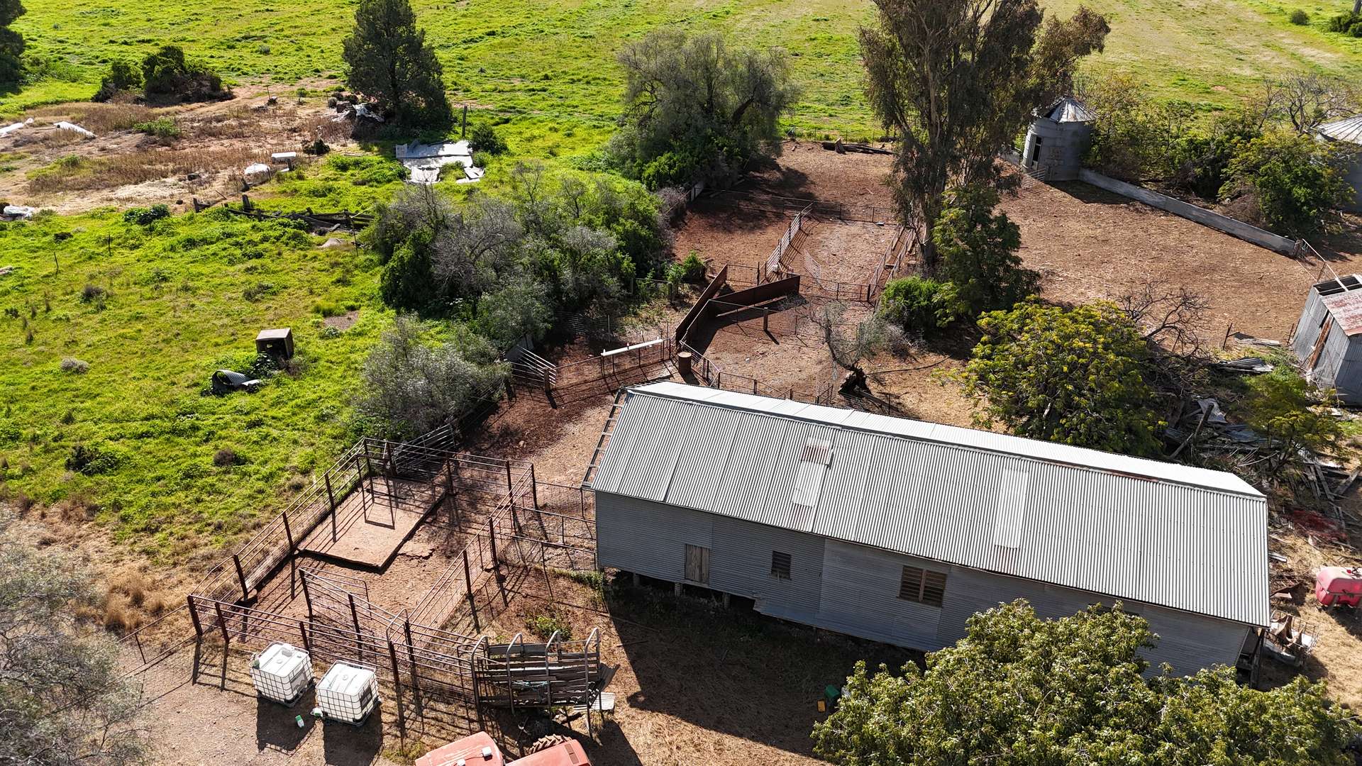 1 Dawes Road, Forbes Tender by Farmbuy.com - image 6