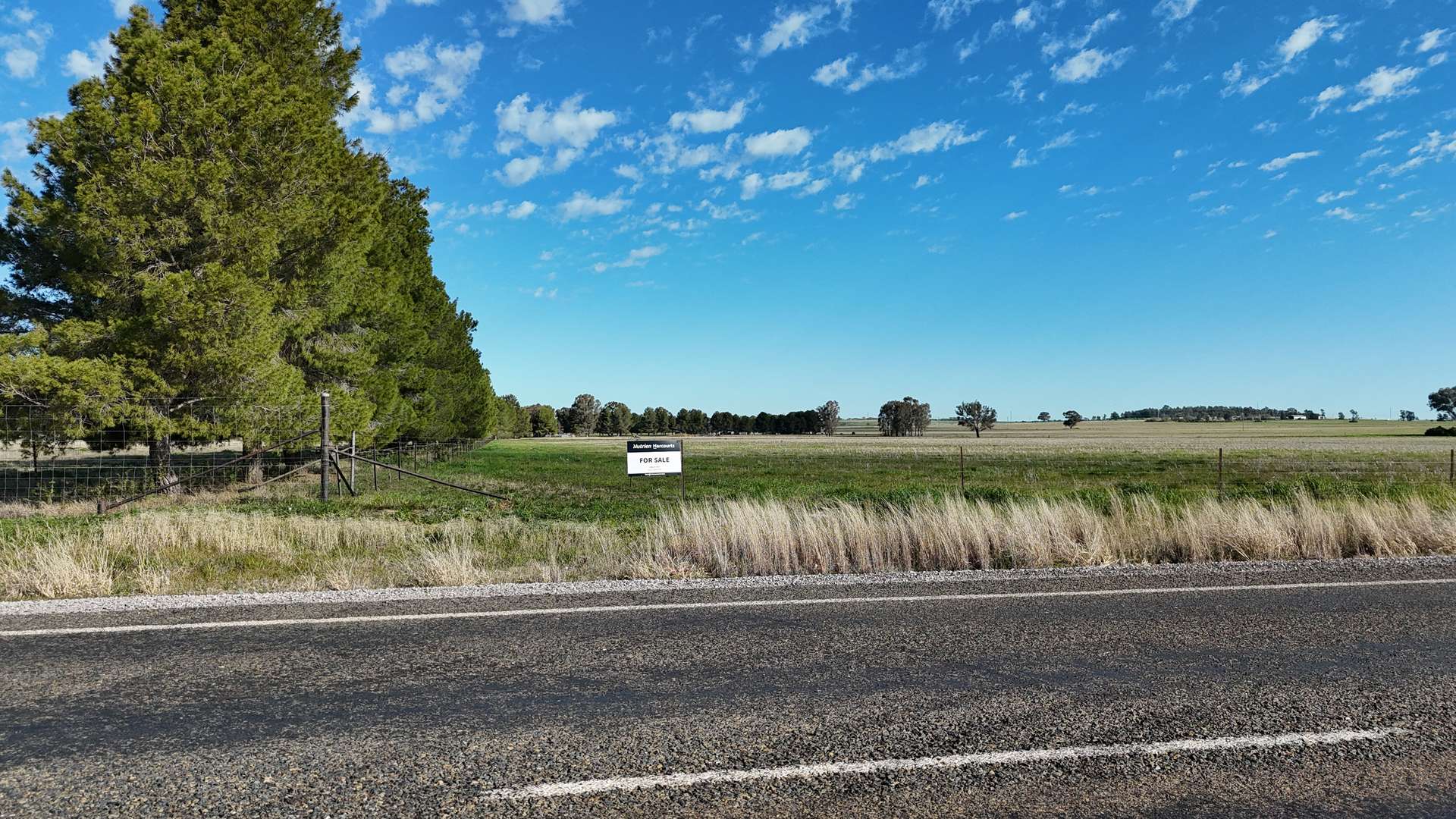 1 Dawes Road, Forbes Tender by Farmbuy.com - image 10