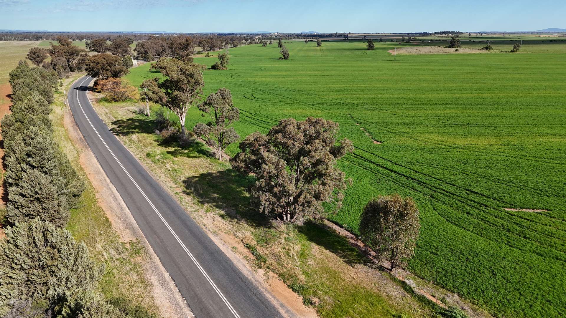 1 Dawes Road, Forbes Tender by Farmbuy.com - image 27
