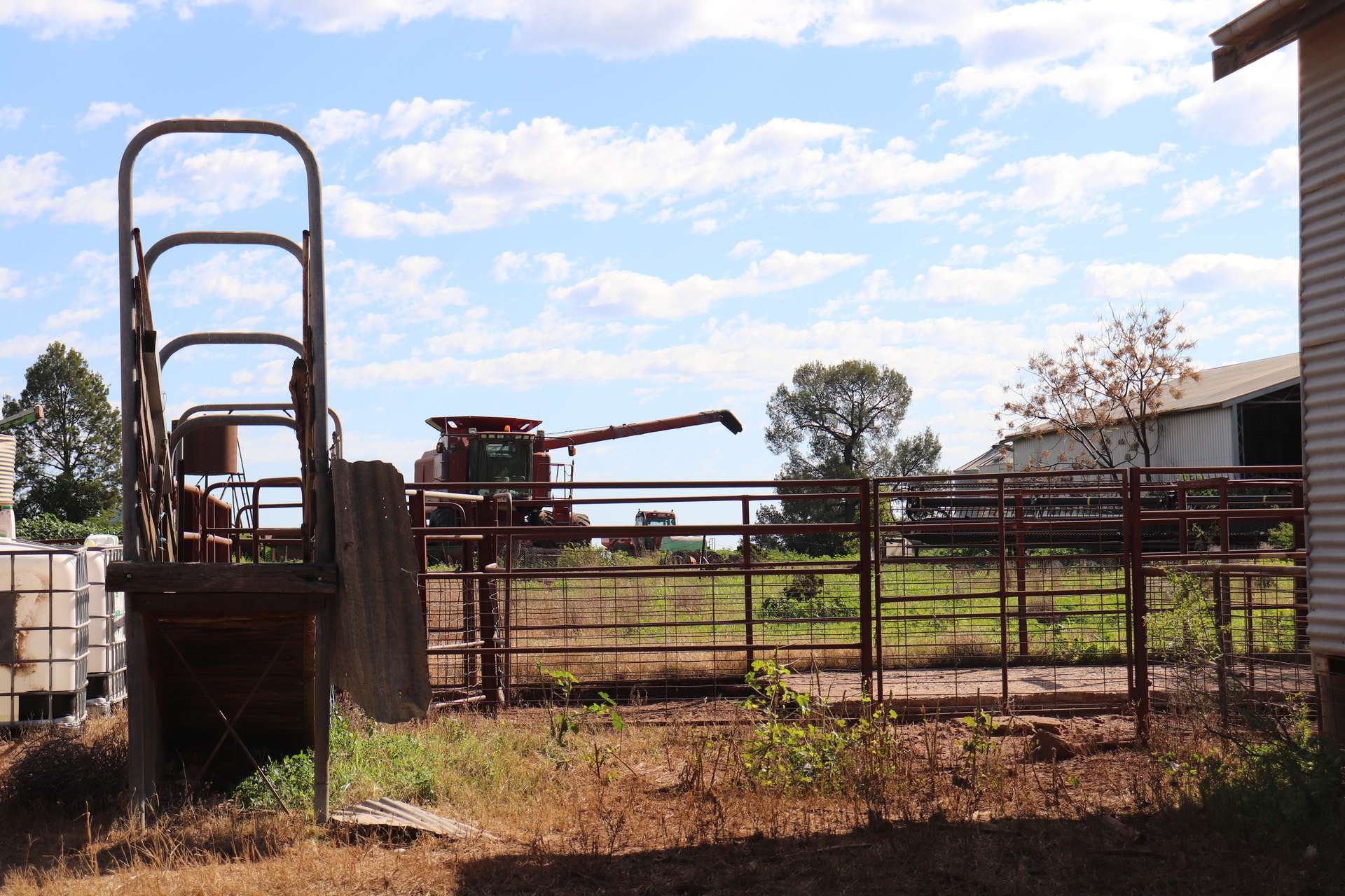 1 Dawes Road, Forbes Tender by Farmbuy.com - image 23