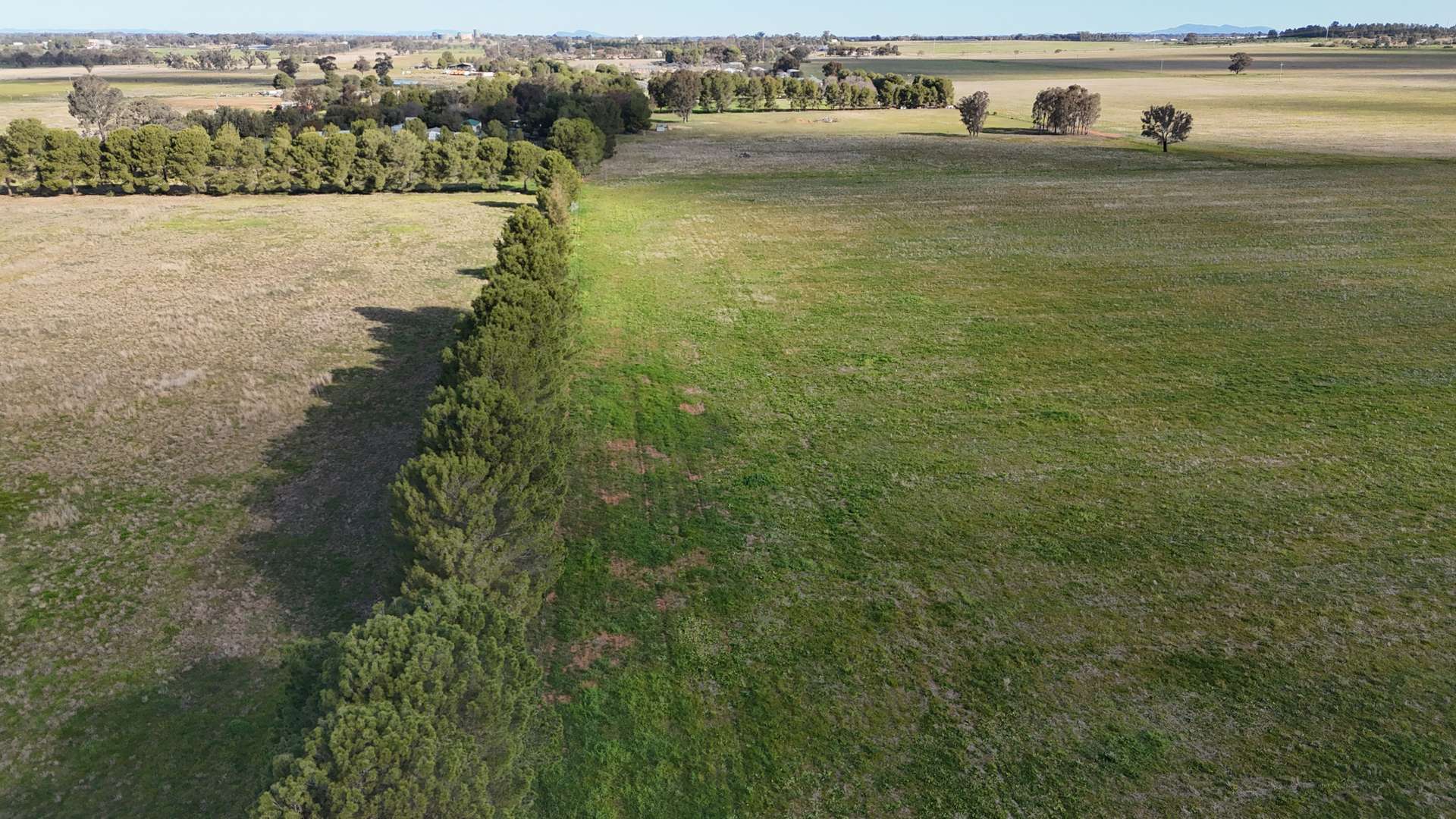 1 Dawes Road, Forbes Tender by Farmbuy.com - image 33