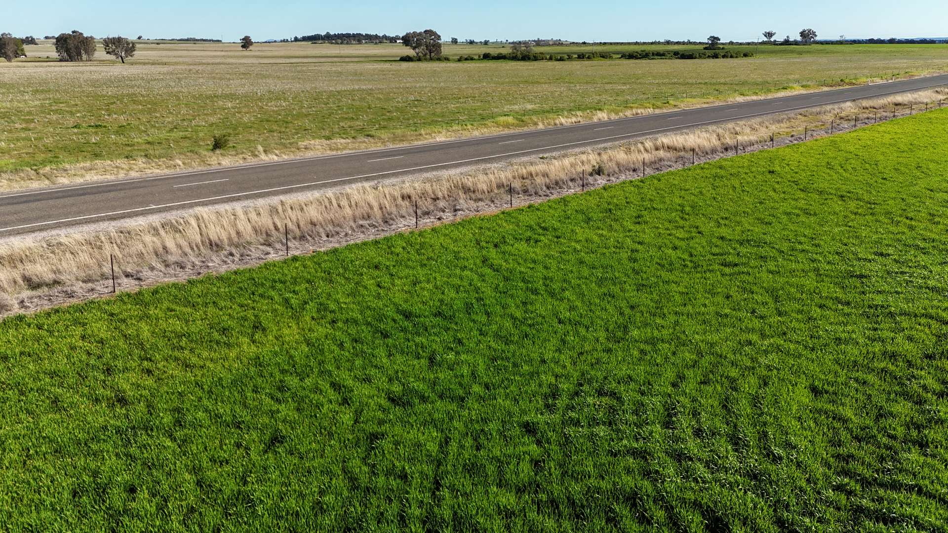 1 Dawes Road, Forbes Tender by Farmbuy.com - image 30