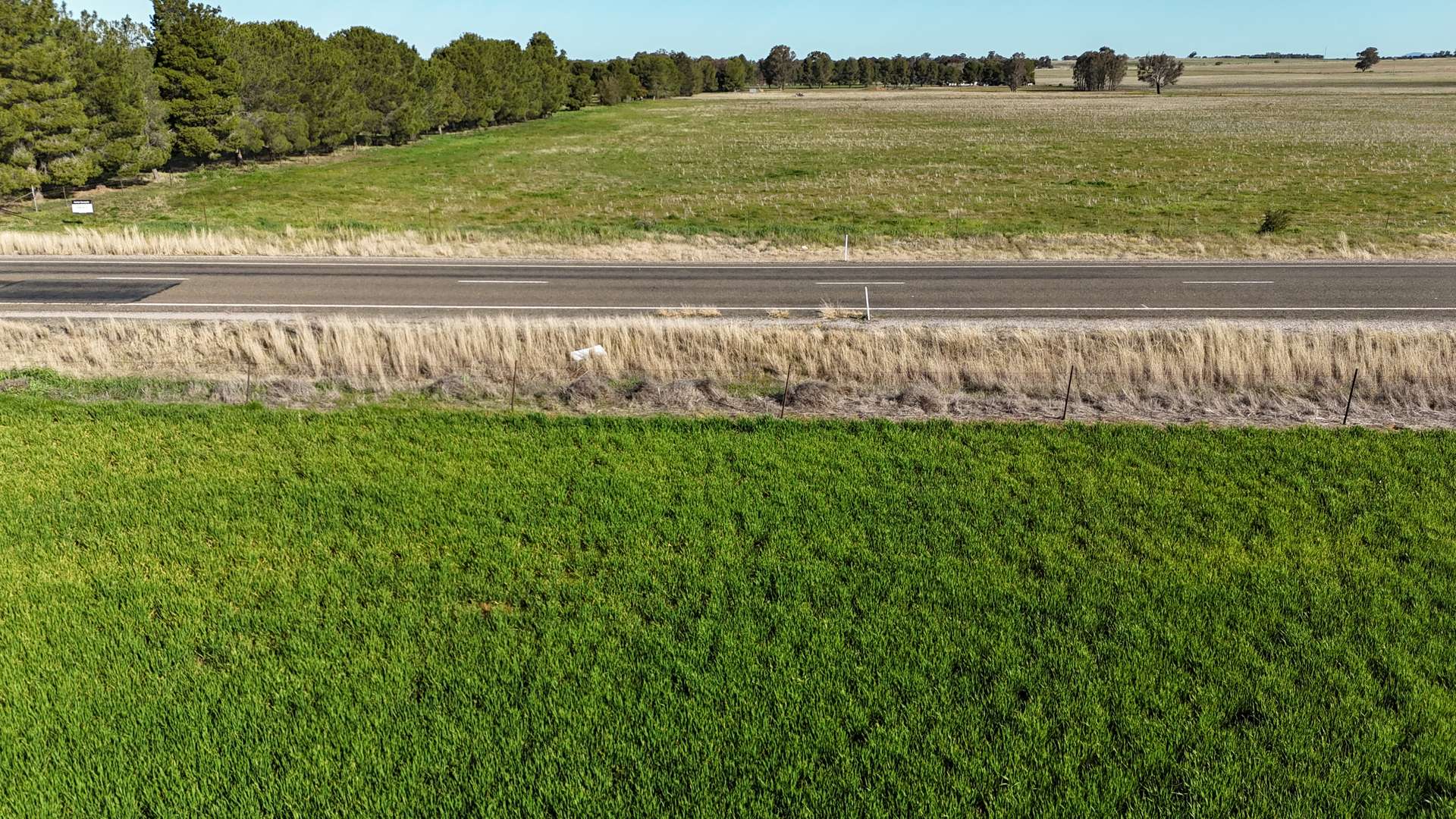1 Dawes Road, Forbes Tender by Farmbuy.com - image 2