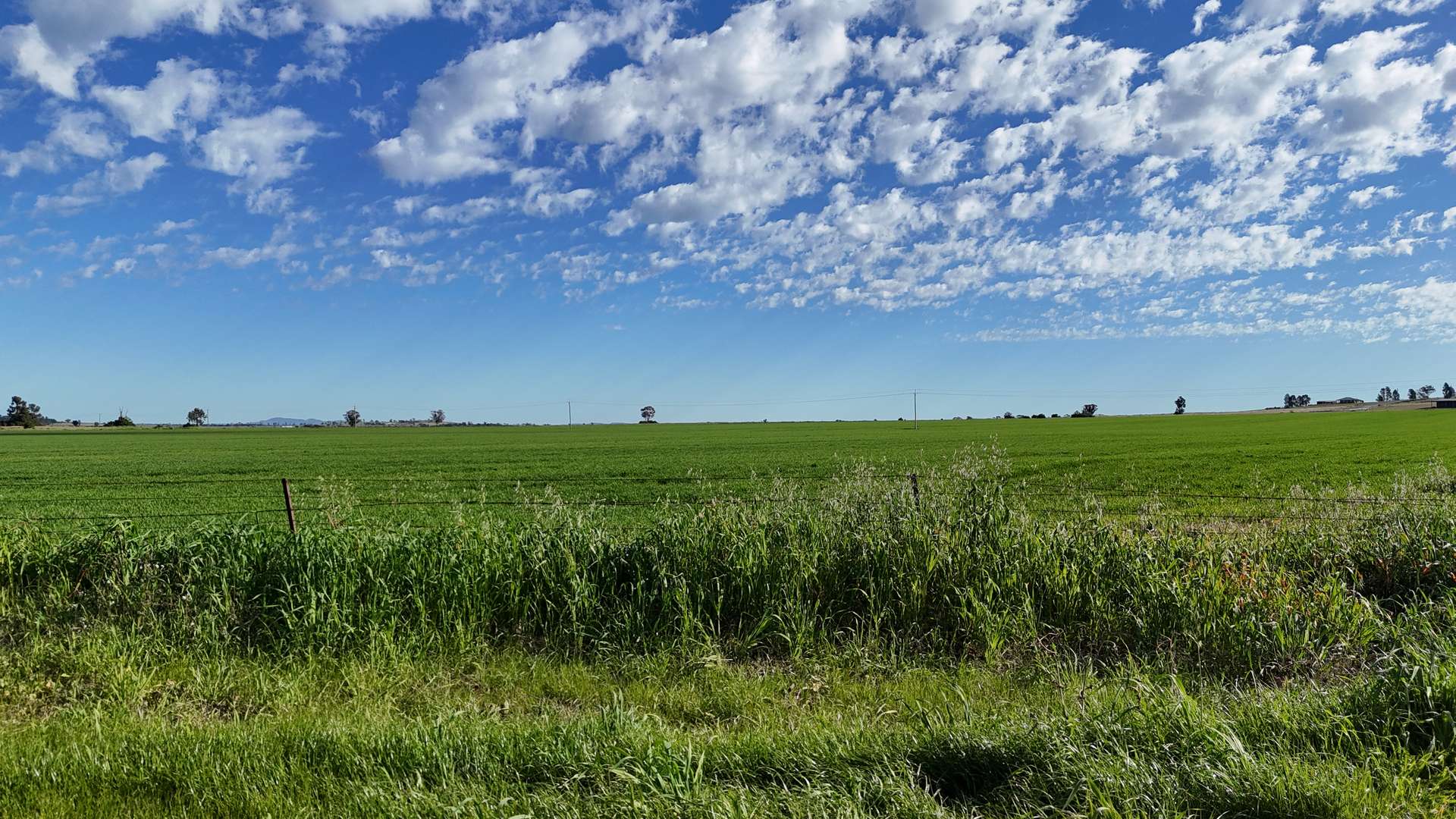 1 Dawes Road, Forbes Tender by Farmbuy.com - image 22