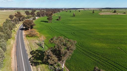 Farm Tender - NSW - Forbes - 2871 - Attention Developers / Investors. Once in a Lifetime Opportunity to buy 25 Titles with potential for up to 40 Blocks 
