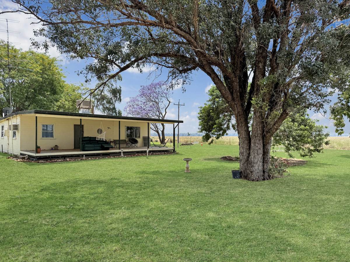'Glenhurst' 4448 Tarwoona Road, Twin Rivers For Sale by Farmbuy.com - image 6