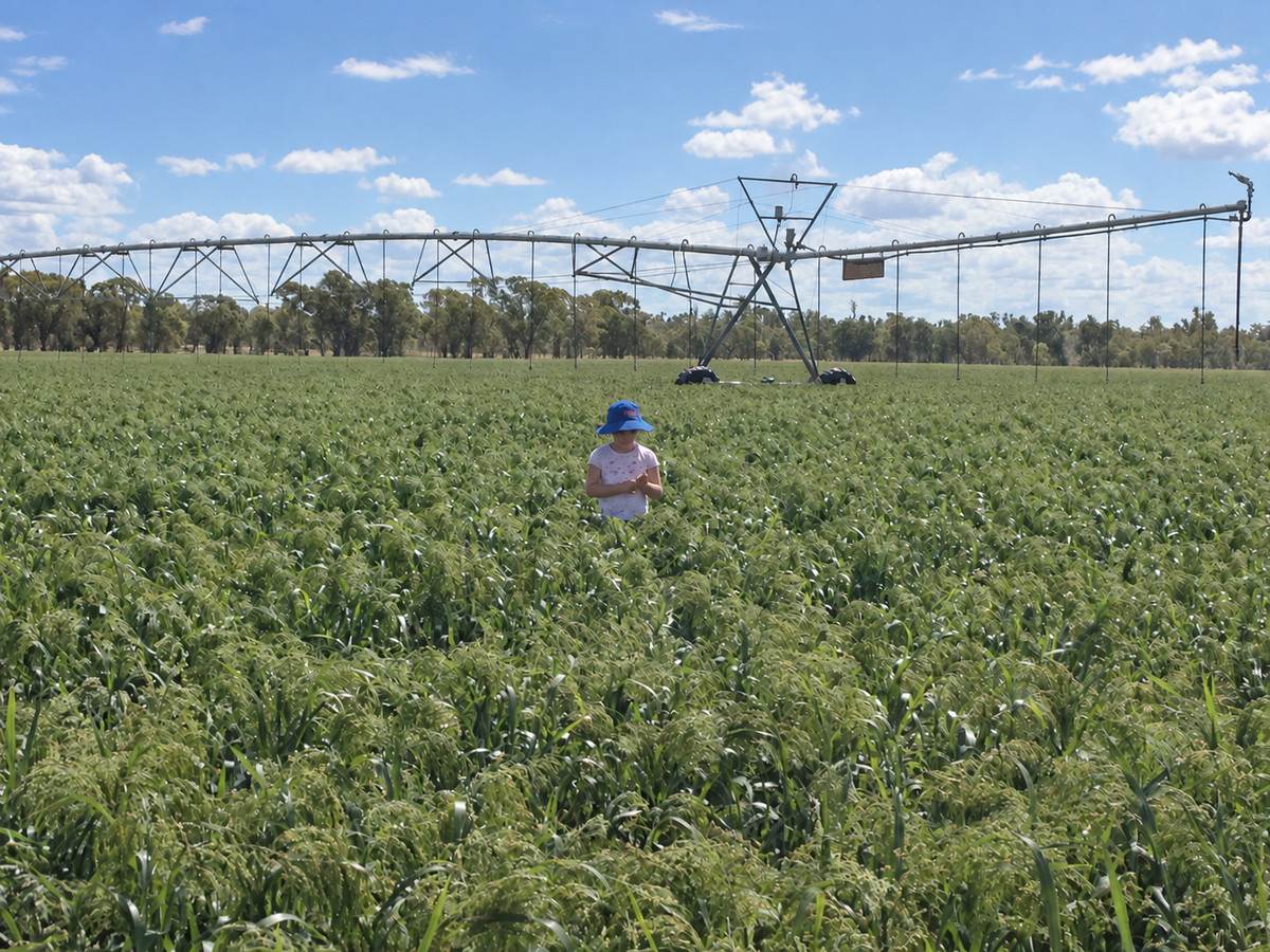 'Glenhurst' 4448 Tarwoona Road, Twin Rivers For Sale by Farmbuy.com - image 1