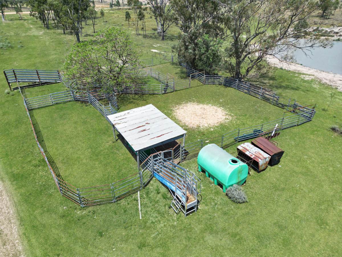 'Glenhurst' 4448 Tarwoona Road, Twin Rivers For Sale by Farmbuy.com - image 8