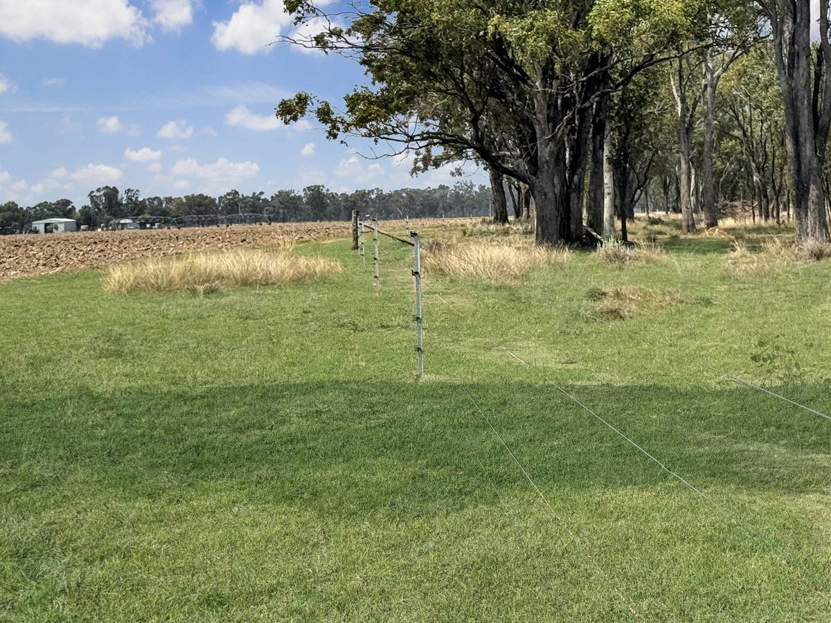 'Glenhurst' 4448 Tarwoona Road, Twin Rivers For Sale by Farmbuy.com - image 16