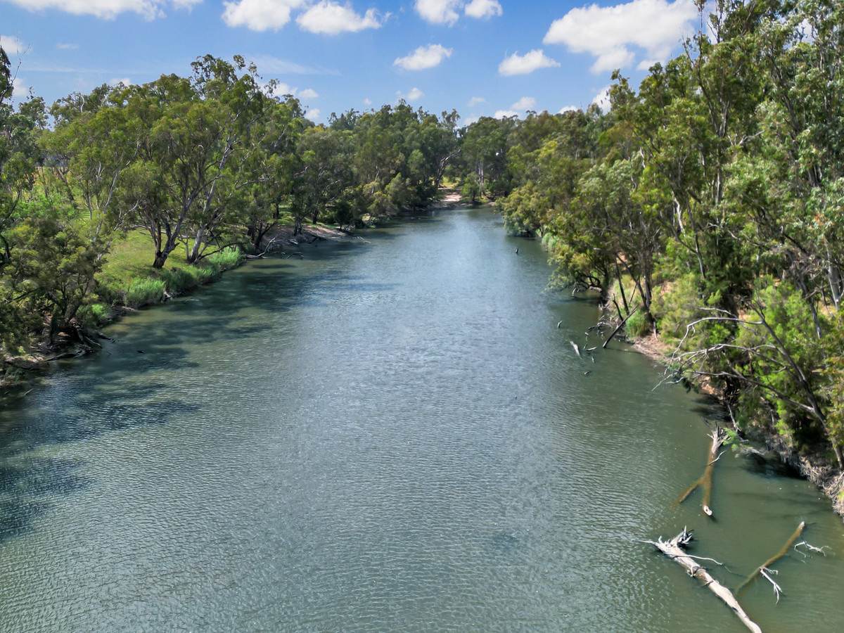 'Glenhurst' 4448 Tarwoona Road, Twin Rivers For Sale by Farmbuy.com - image 4