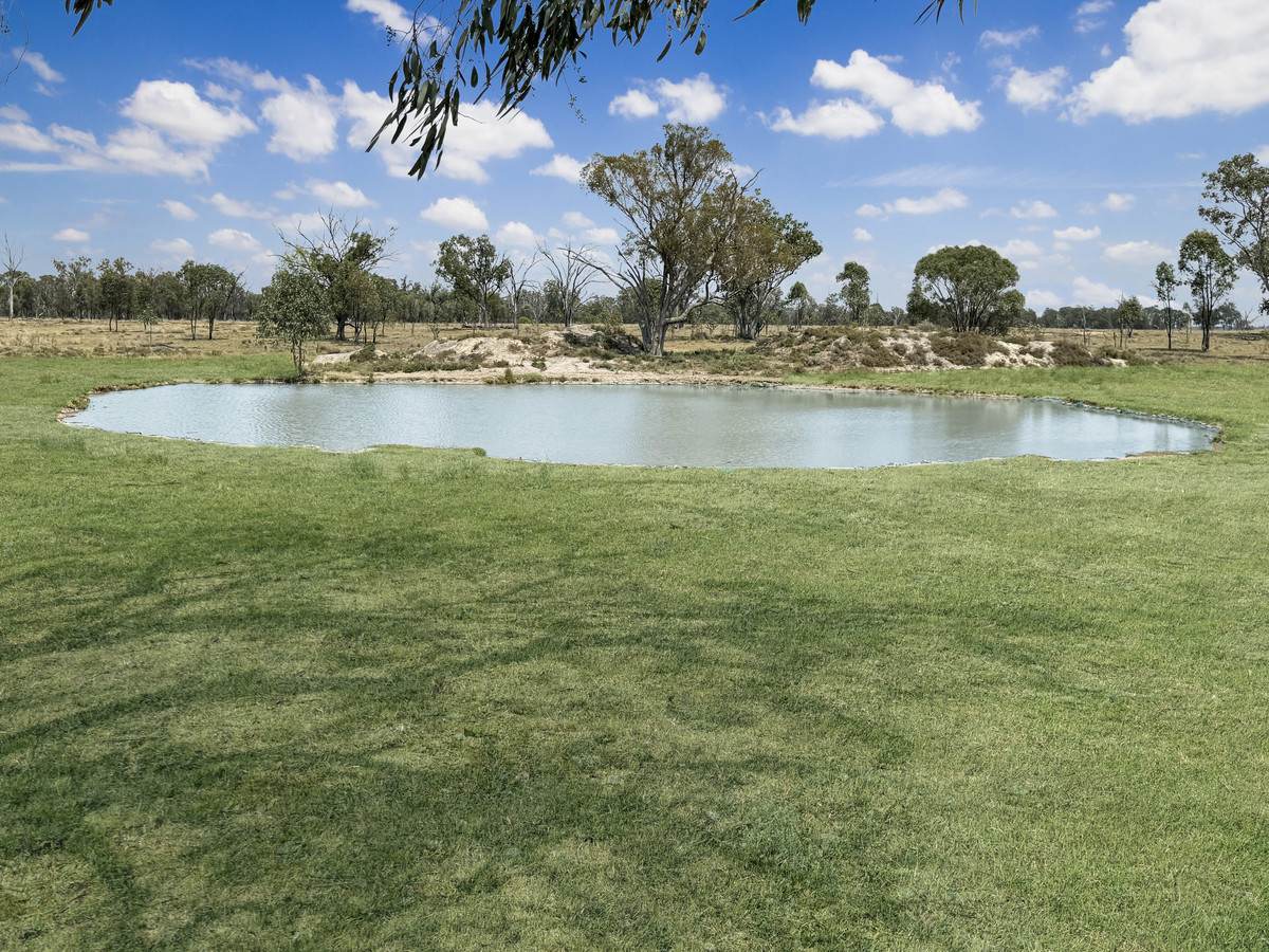 'Glenhurst' 4448 Tarwoona Road, Twin Rivers For Sale by Farmbuy.com - image 13