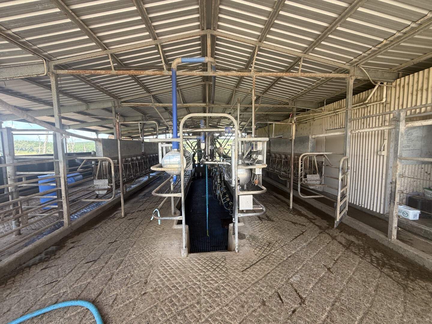 431 Knights Road, Kyogle For Sale by Farmbuy.com - image 24
