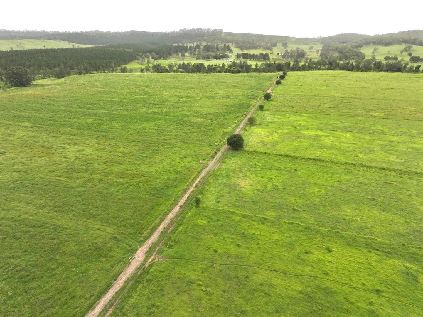 431 Knights Road, Kyogle For Sale by Farmbuy.com - image 20
