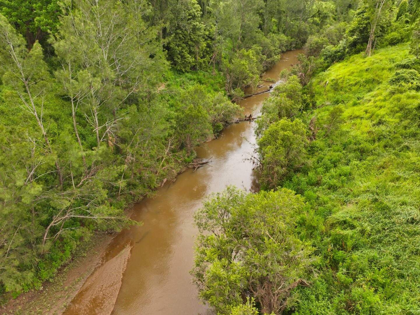 431 Knights Road, Kyogle For Sale by Farmbuy.com - image 15