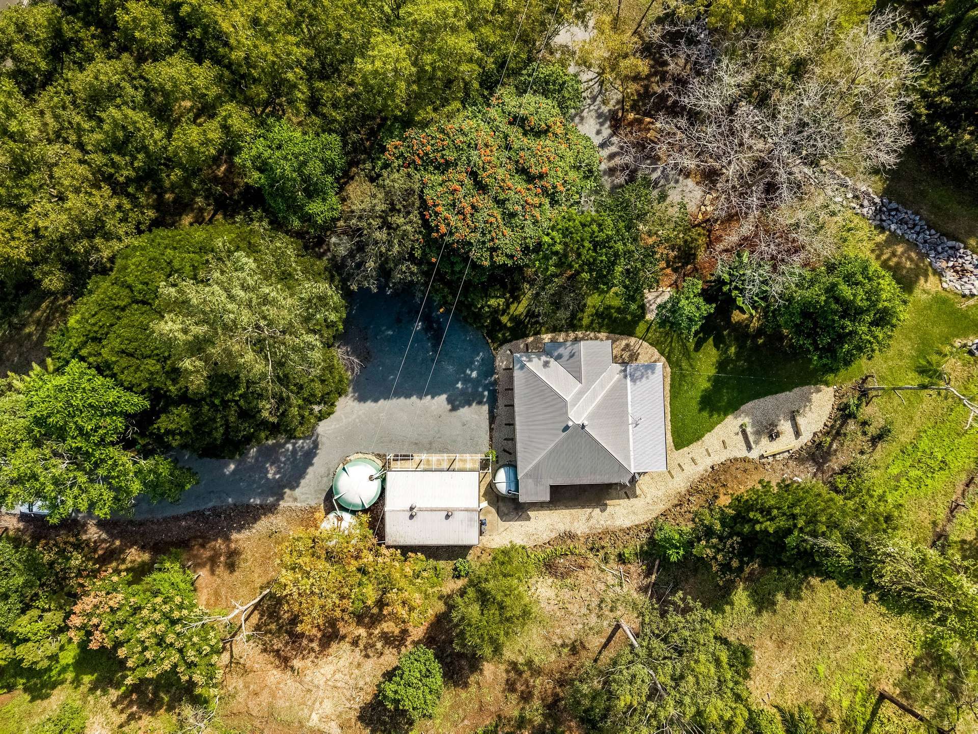 58 Nimbin Road, Lismore For Sale by Farmbuy.com - image 6