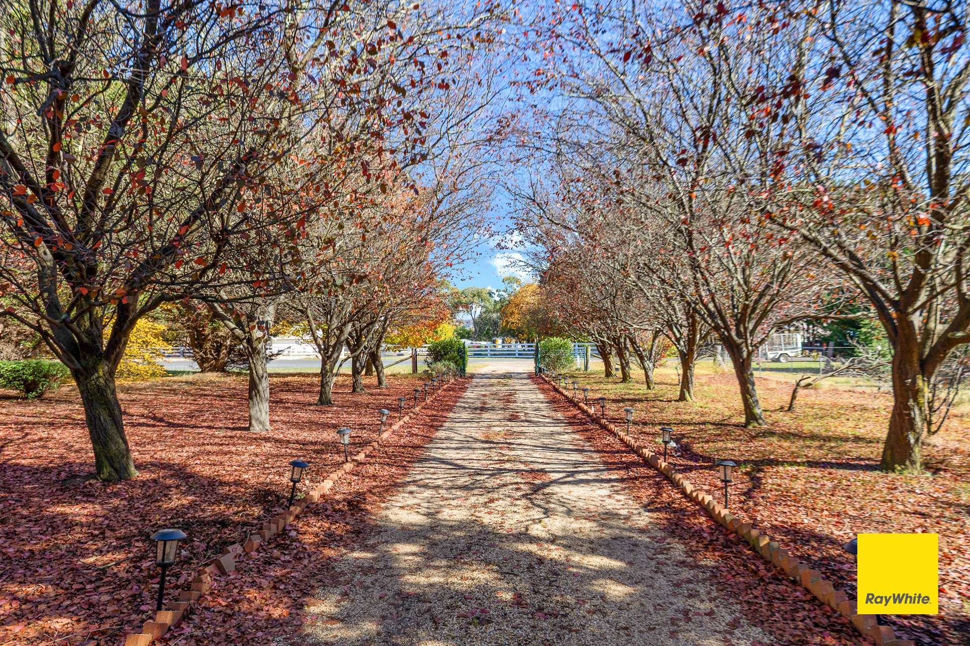 11 Elmslea Drive, Bungendore For Sale by Farmbuy.com - image 25
