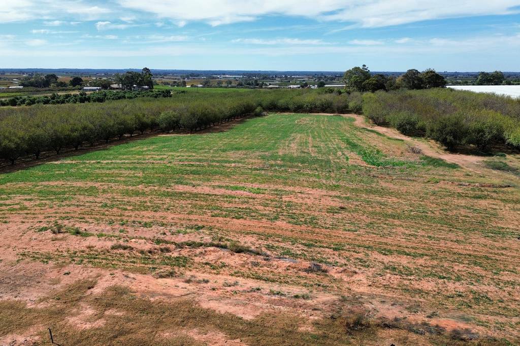 Lot 55&comma; Old Cooltong Avenue, Renmark SA 5341