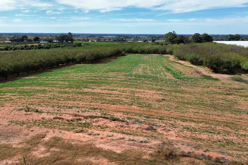 Lot 55&comma; Old Cooltong Avenue, Renmark SA 5341