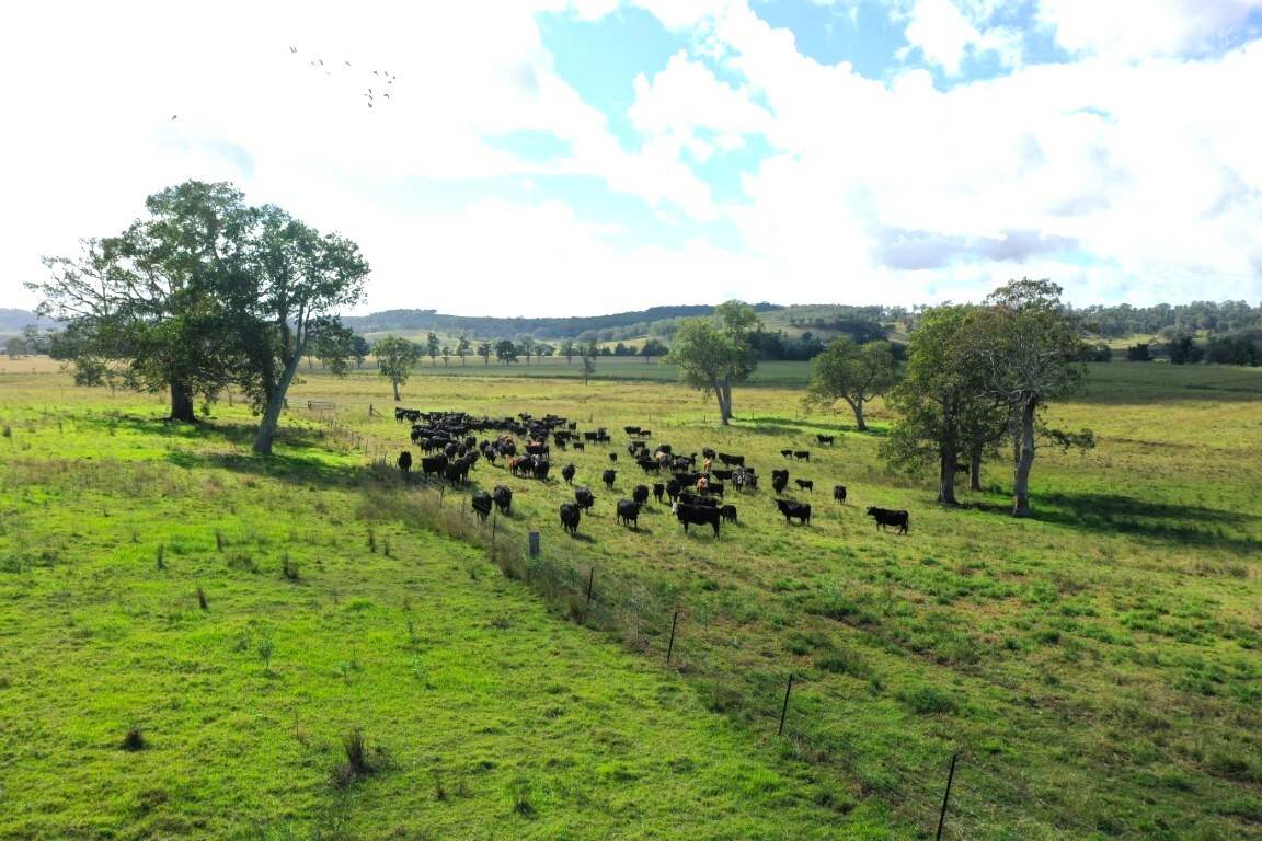 603 Knights Road, Kyogle For Sale by Farmbuy.com - image 18