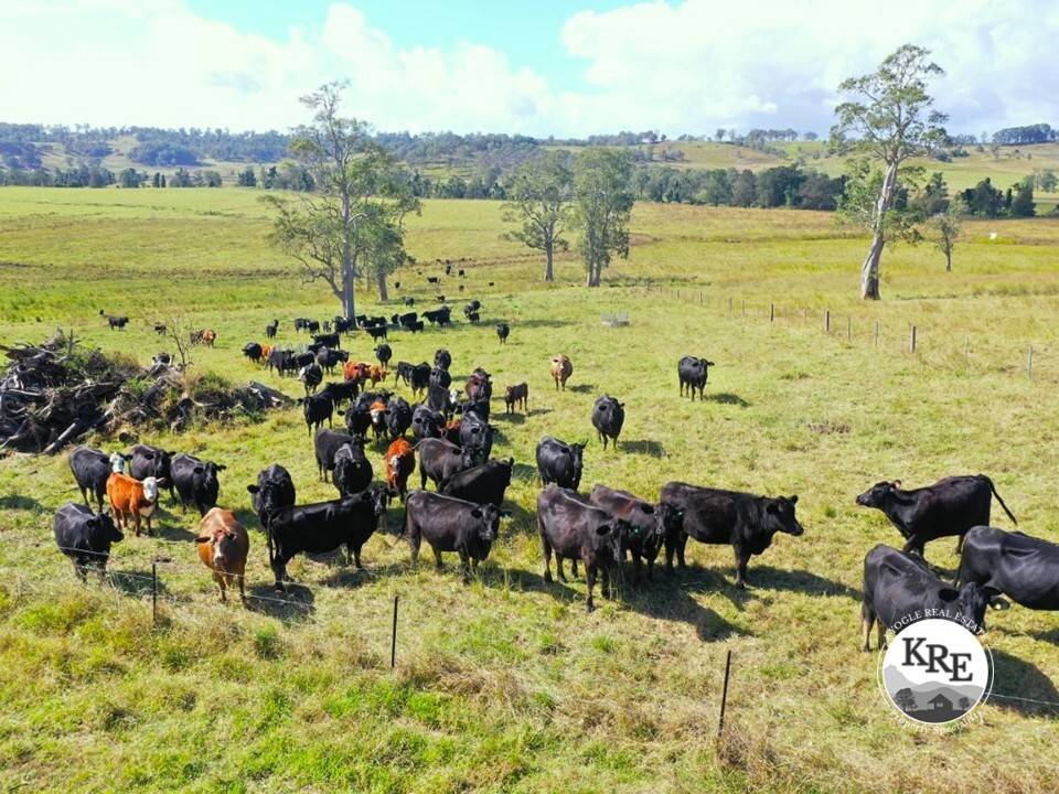 603 Knights Road, Kyogle NSW 2474