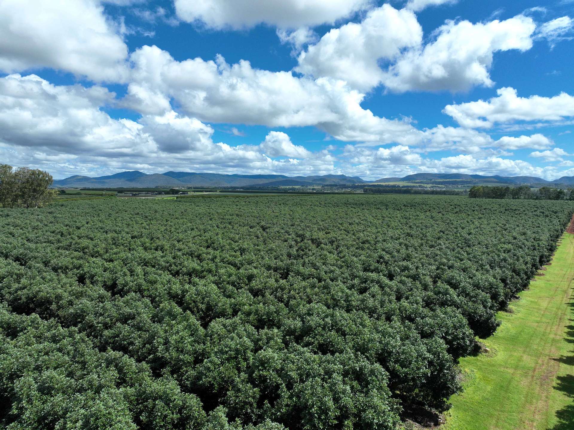 39 Yadjin Rd, Tolga For Sale by Farmbuy.com - image 3