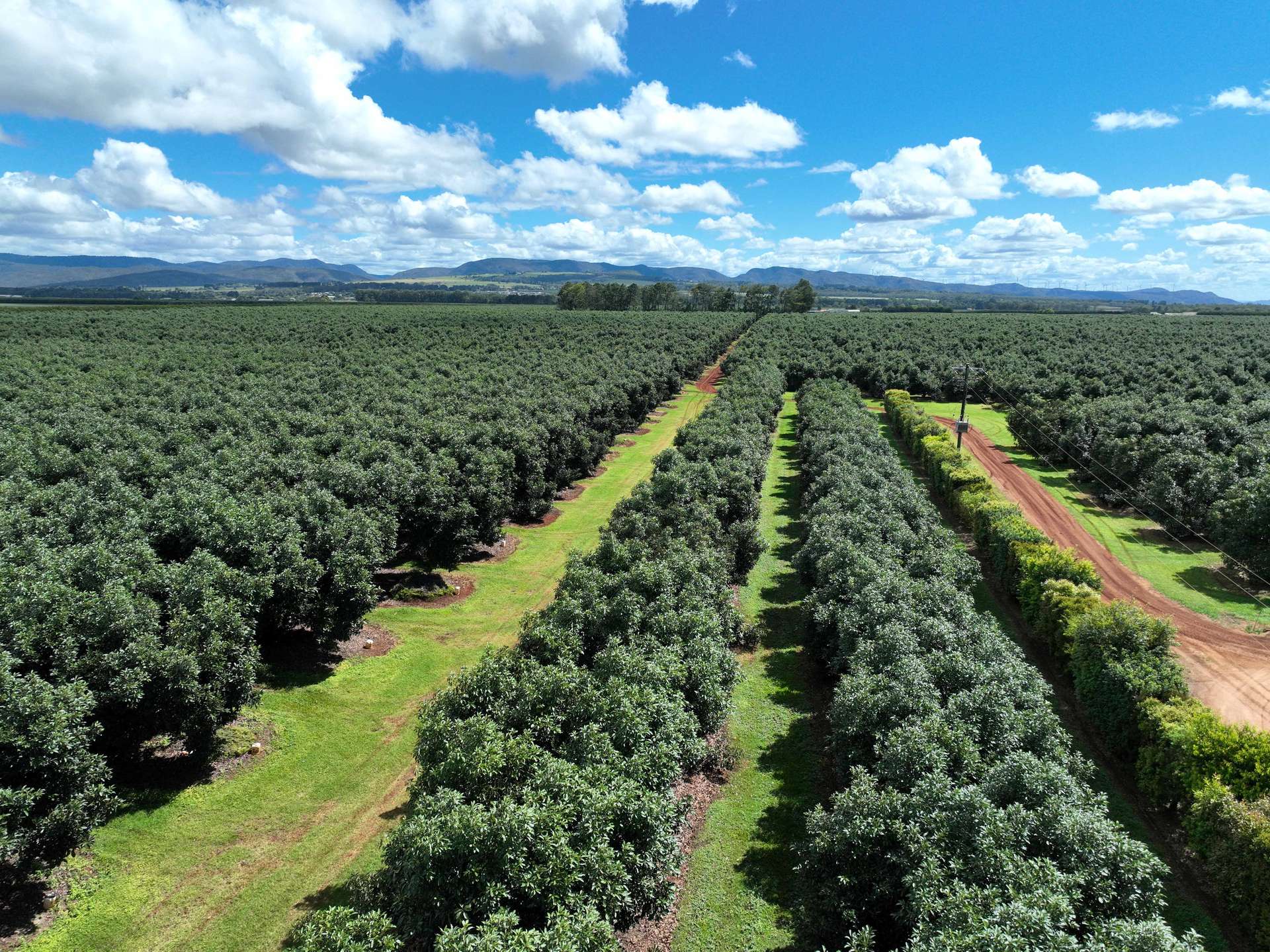 39 Yadjin Rd, Tolga For Sale by Farmbuy.com - image 4