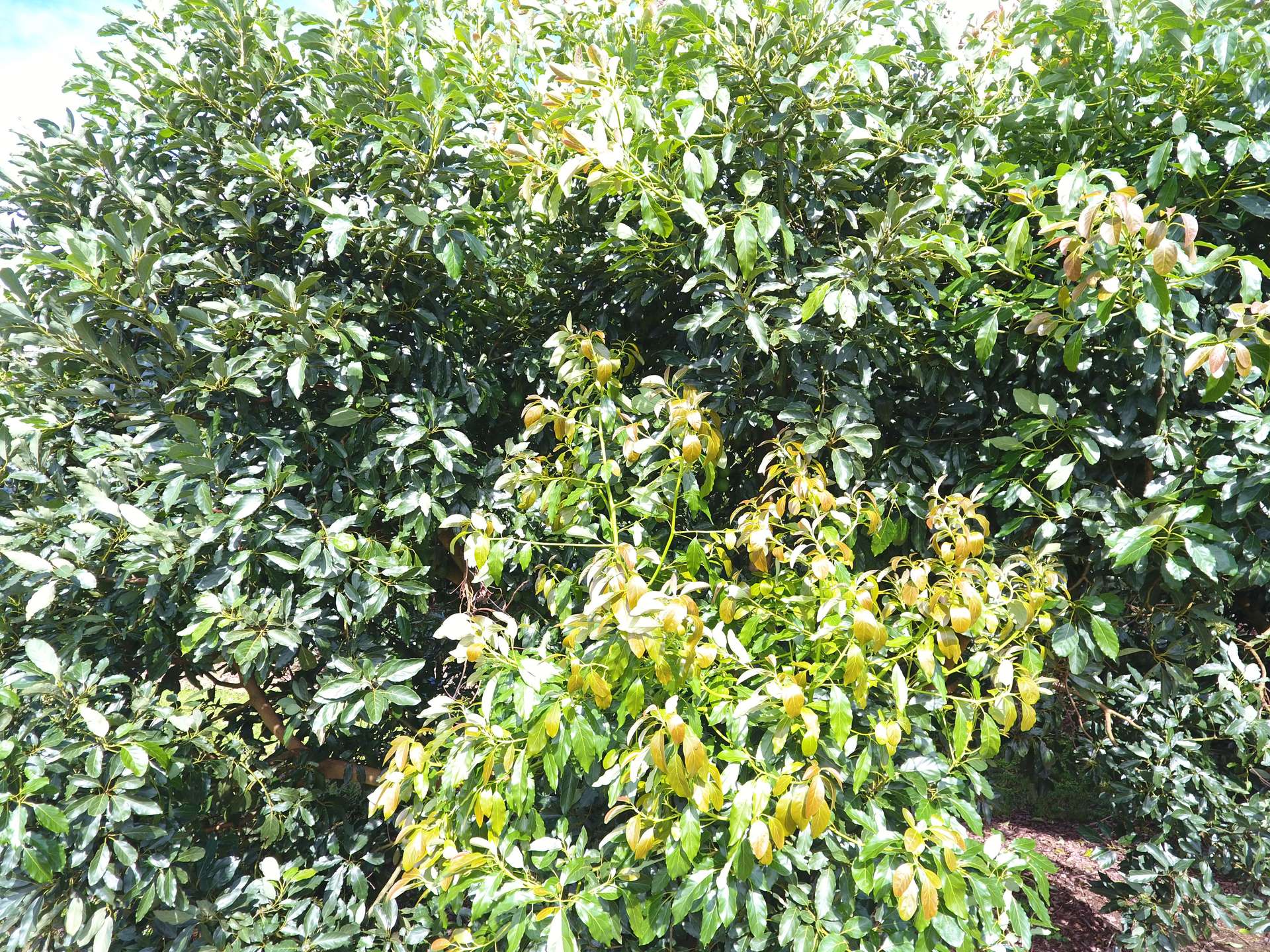 39 Yadjin Rd, Tolga For Sale by Farmbuy.com - image 20