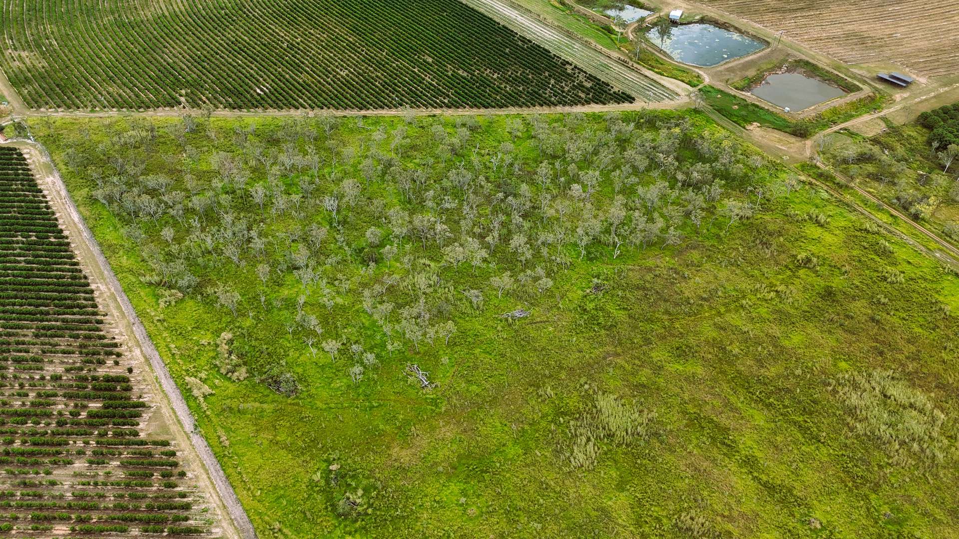 323 Bower Road, Arriga For Sale by Farmbuy.com - image 31