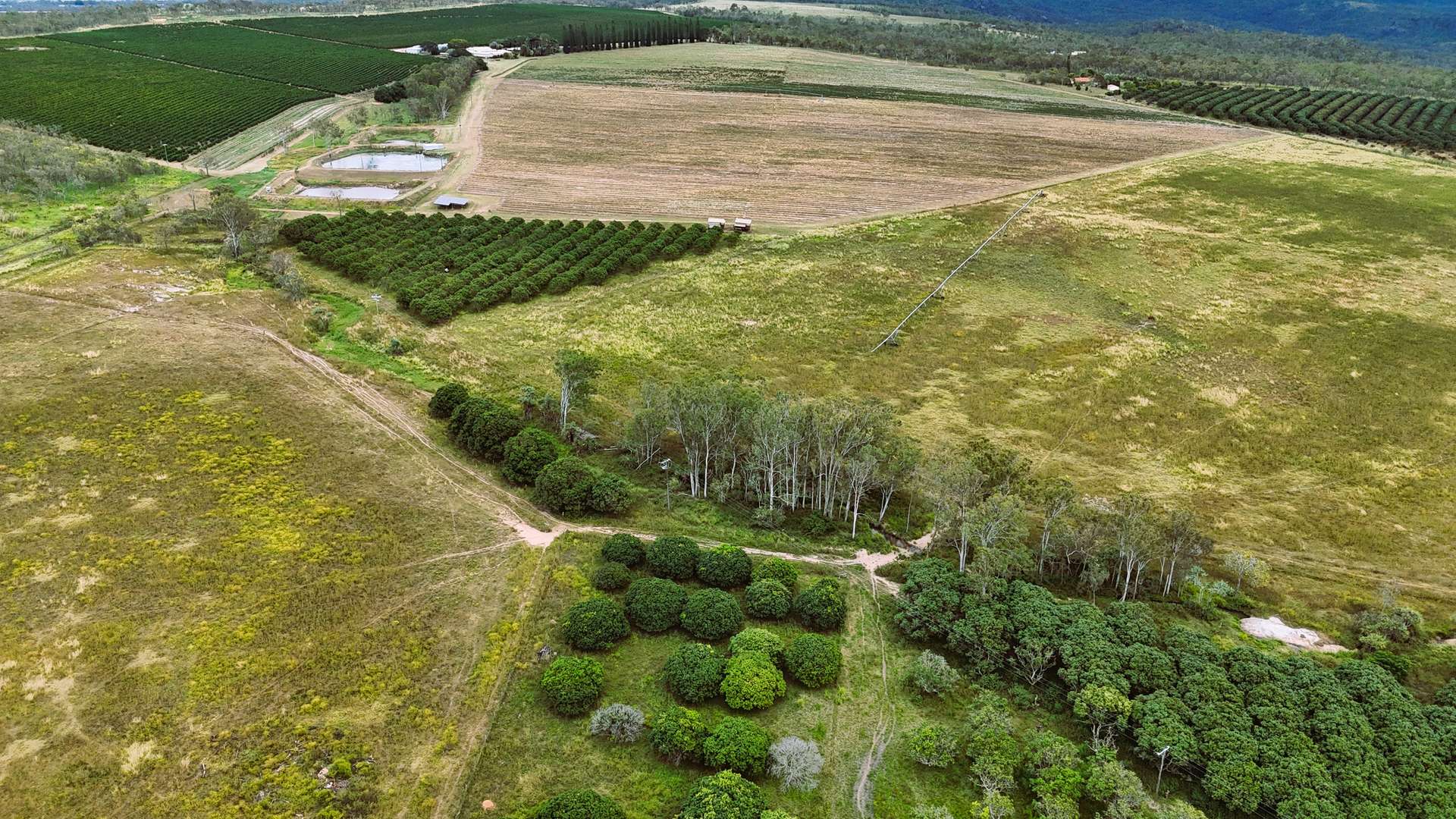323 Bower Road, Arriga For Sale by Farmbuy.com - image 29