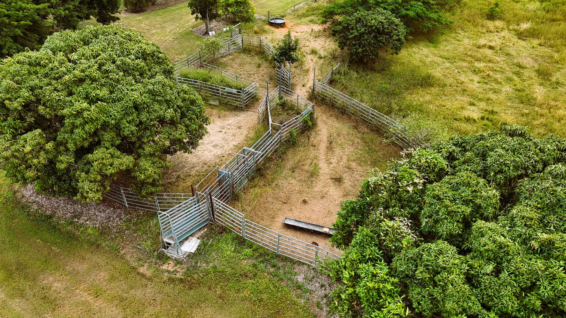 323 Bower Road, Arriga For Sale by Farmbuy.com - image 18