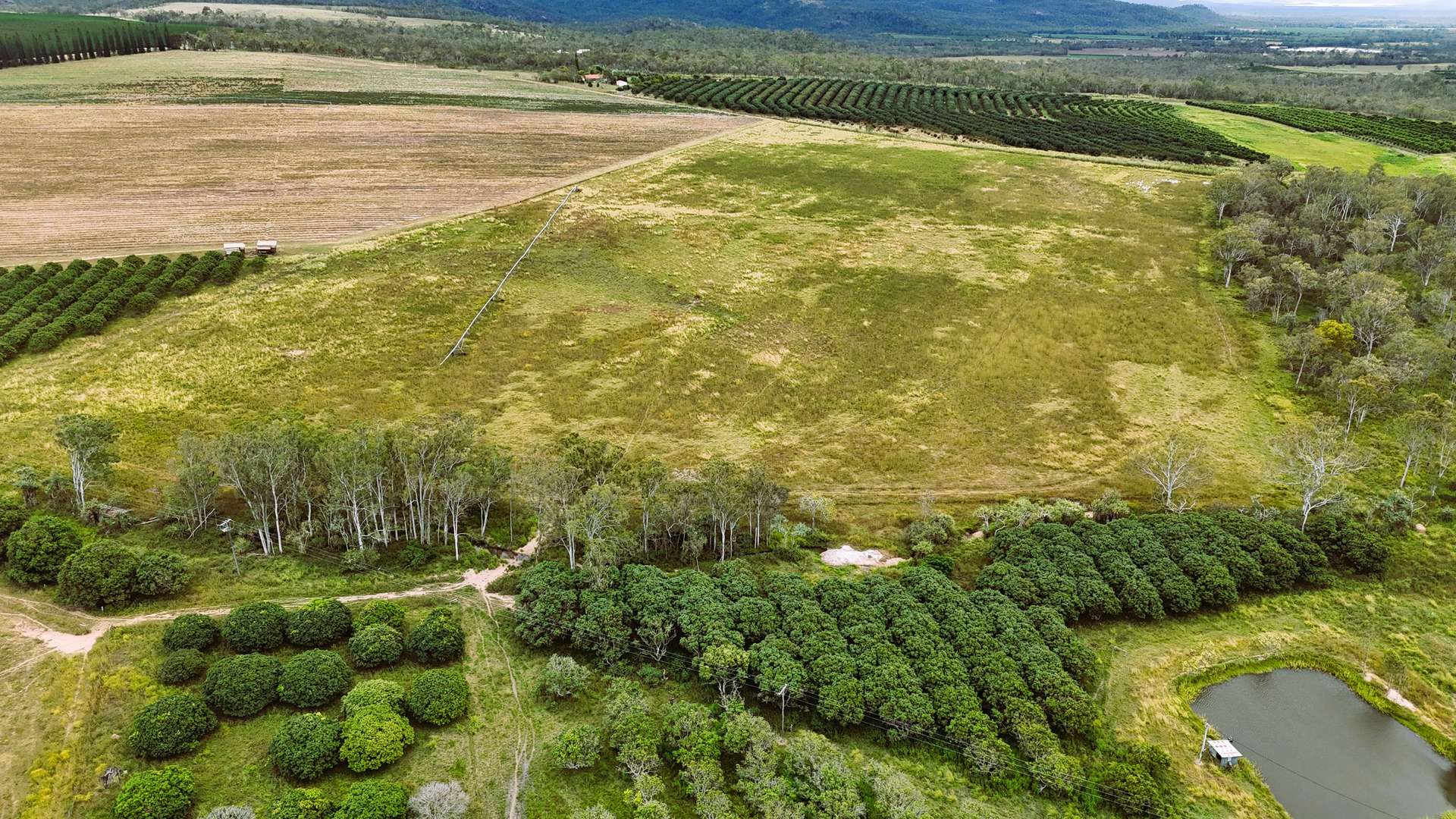 323 Bower Road, Arriga For Sale by Farmbuy.com - image 27
