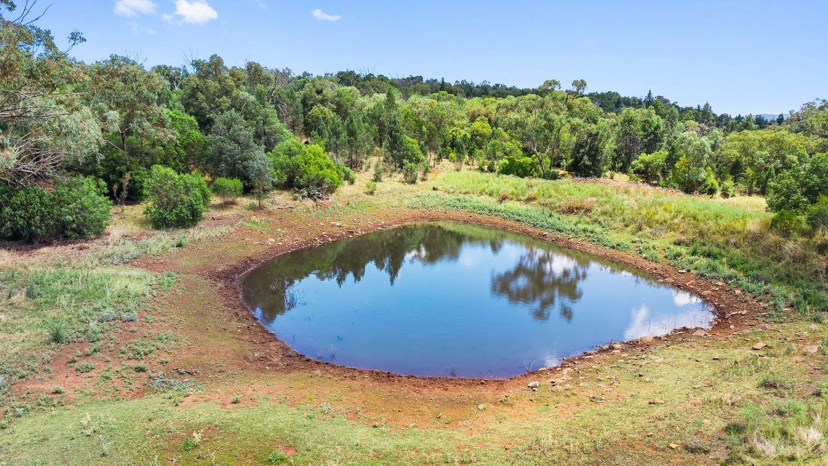 ‘Sylvandale’ 412 Barlow Road, Gunnedah Auction by Farmbuy.com - image 14